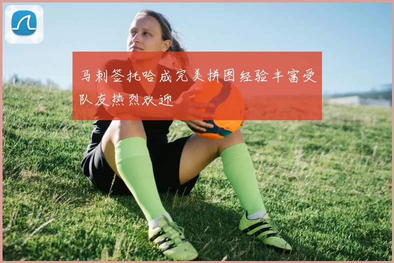 马刺签托哈成完美拼图经验丰富受队友热烈欢迎